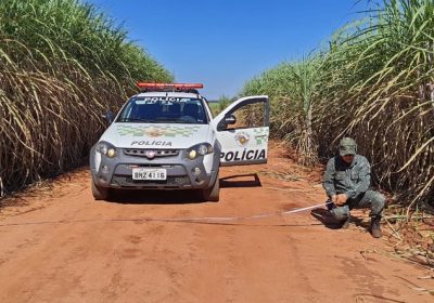 Operação Huracan registra irregularidades em aceiros de lavouras do Oeste Paulista